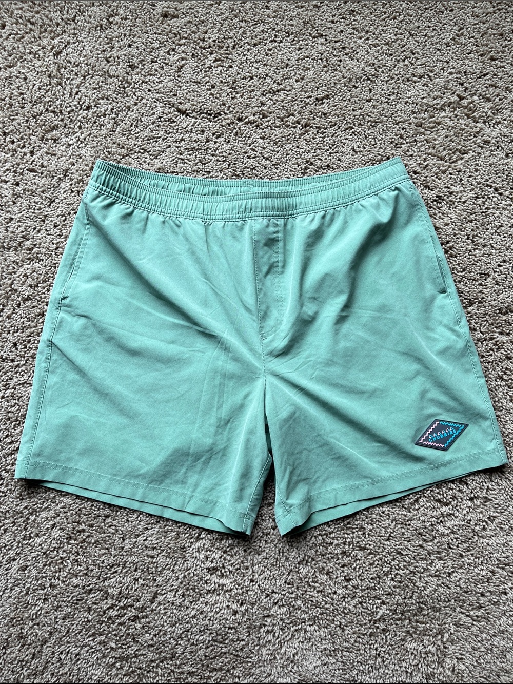Chubbies "The Marshes" Men's Shorts Size XL Mint Green 5.5" Inseam